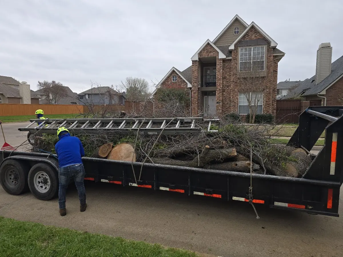 Expert Tree Pest Control with proper safety equipment in East Fairfield